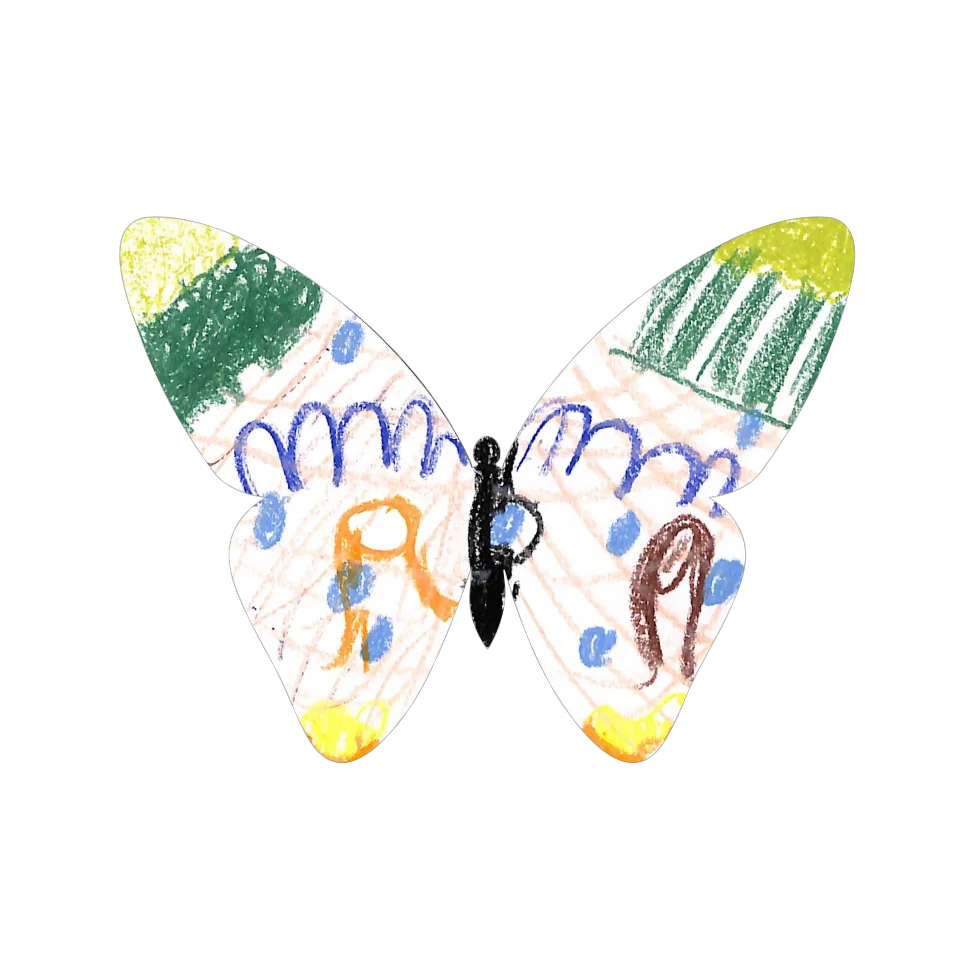 Original Butterfly Image