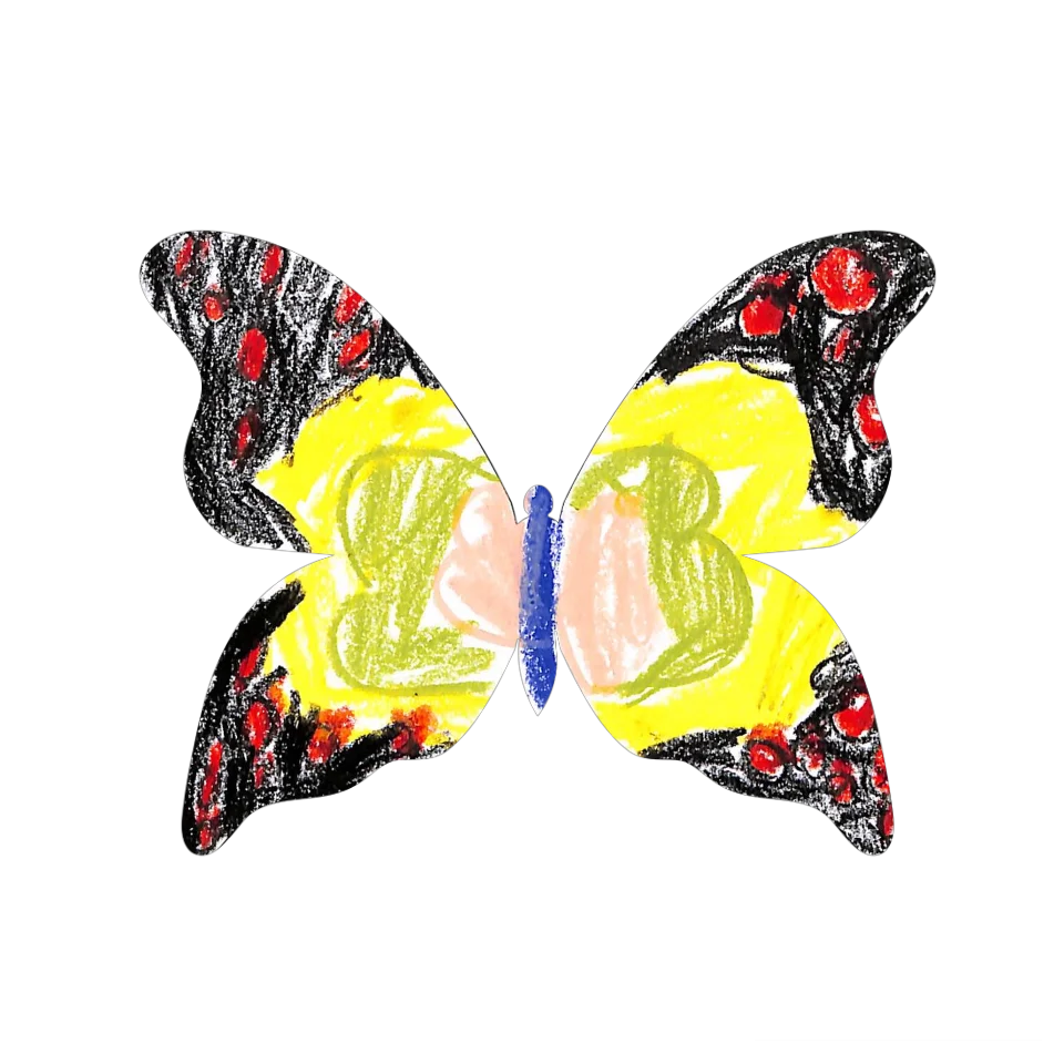 Original Butterfly Image