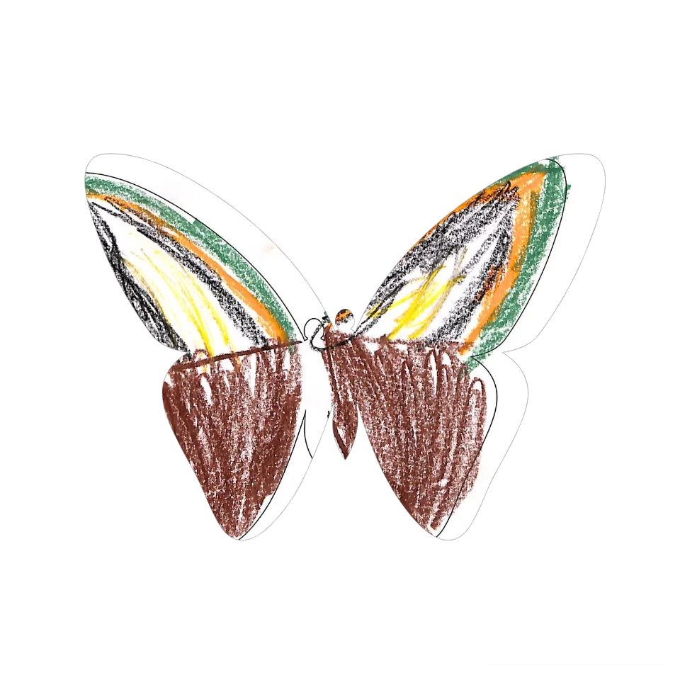 Original Butterfly Image