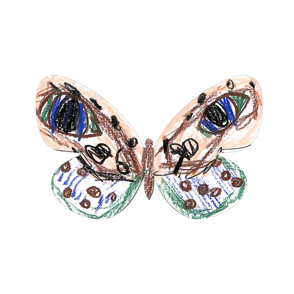 Original Butterfly Image