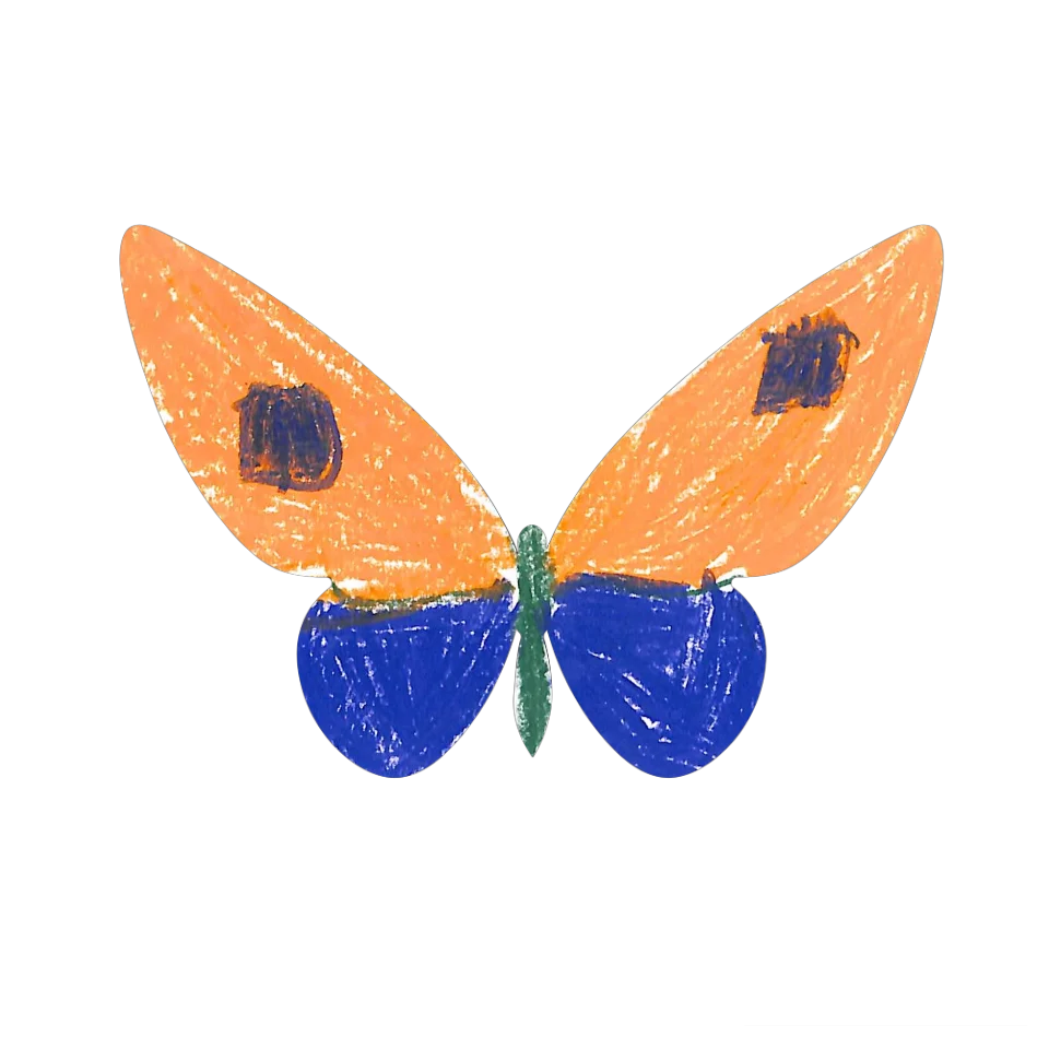 Original Butterfly Image