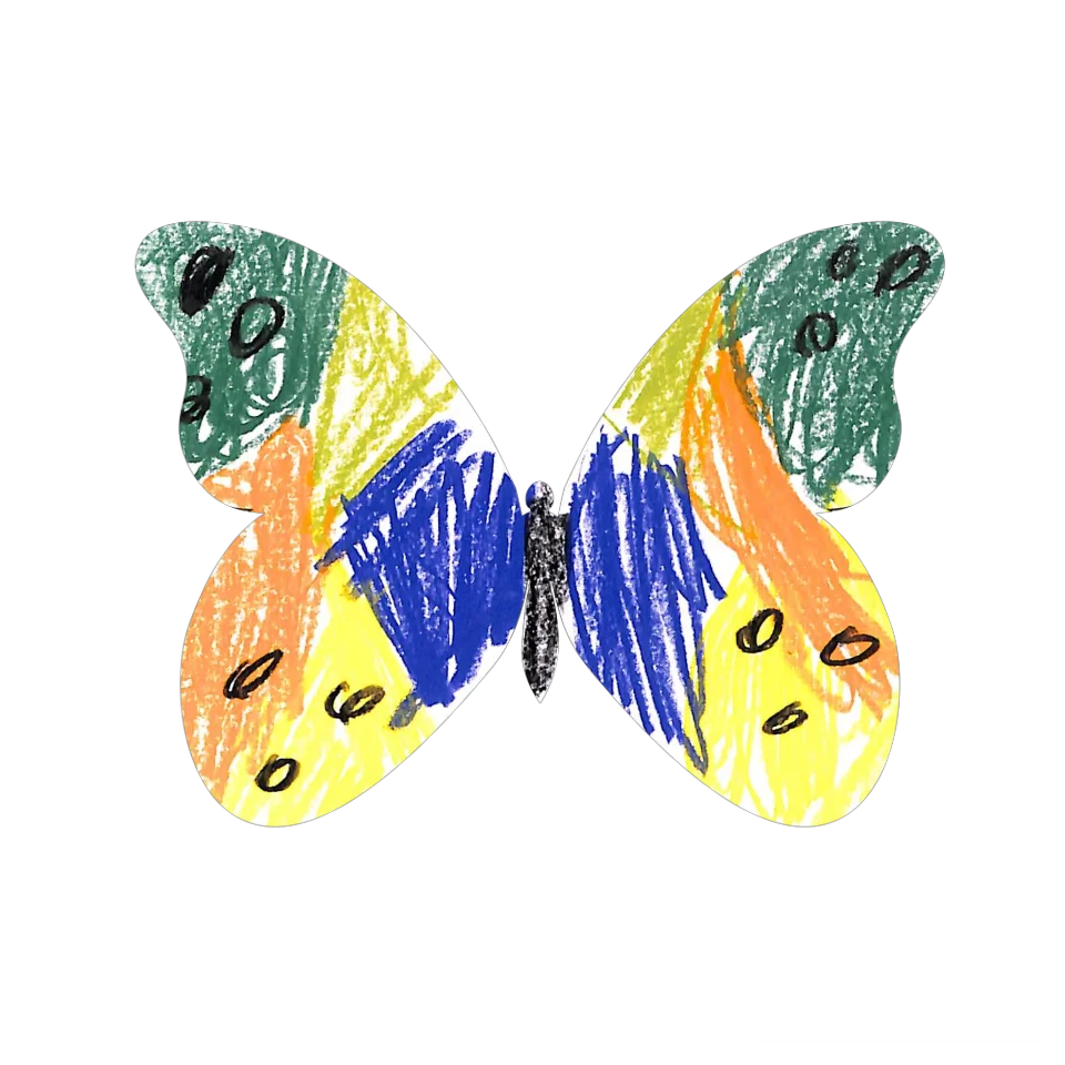 Original Butterfly Image