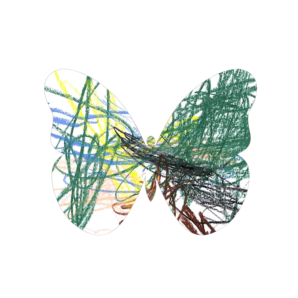 Original Butterfly Image