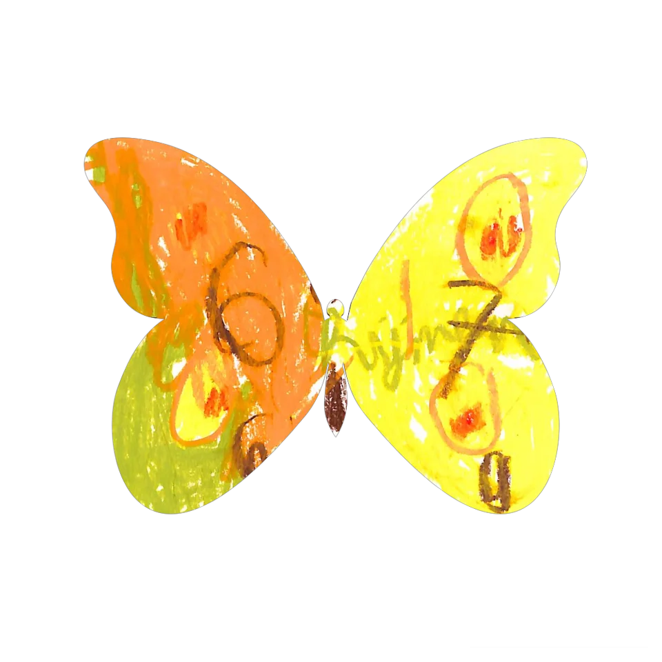 Original Butterfly Image