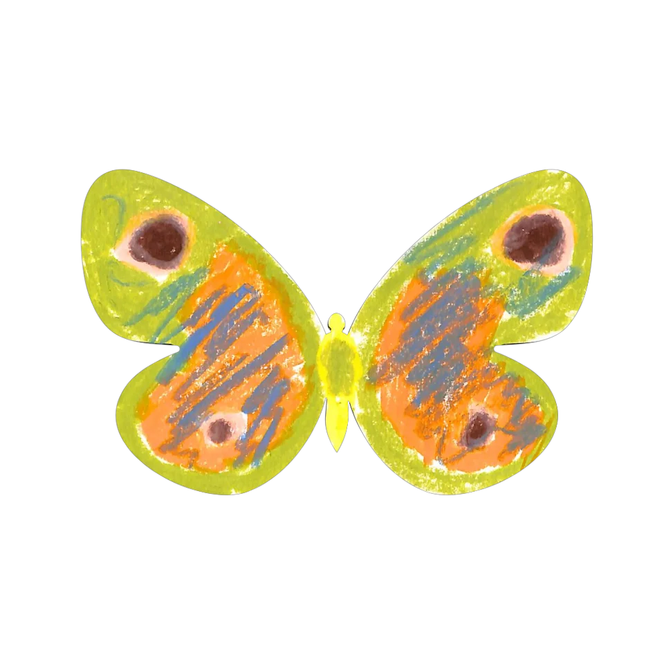Original Butterfly Image