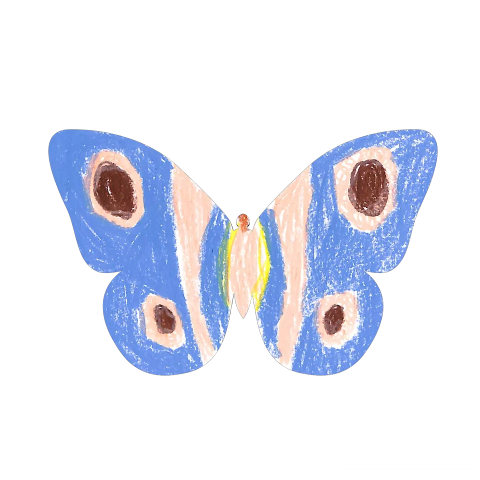 Original Butterfly Image