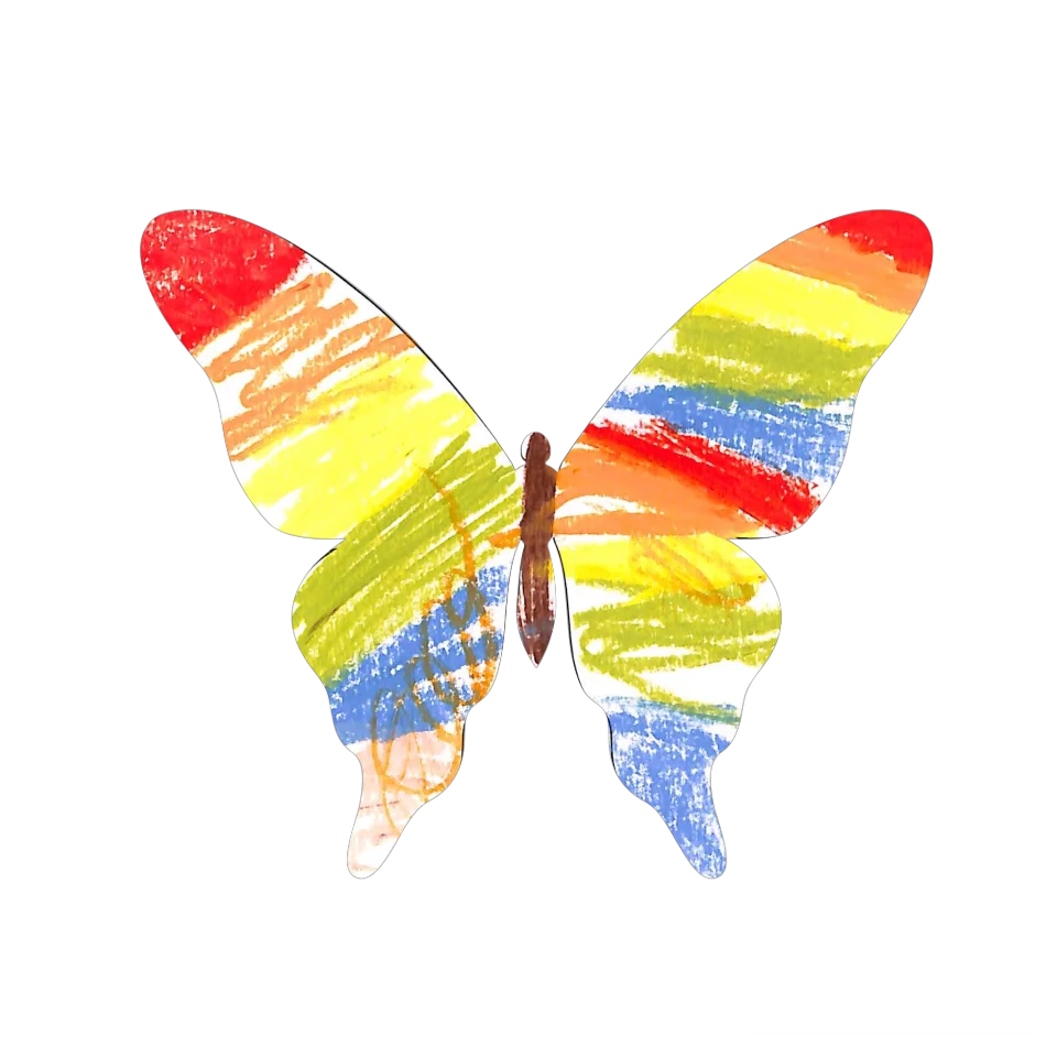 Original Butterfly Image