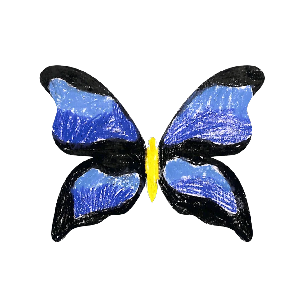 Original Butterfly Image