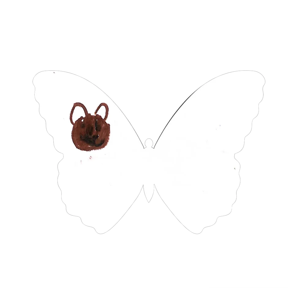 Original Butterfly Image