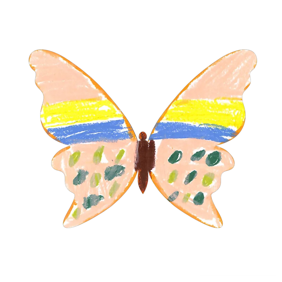 Original Butterfly Image