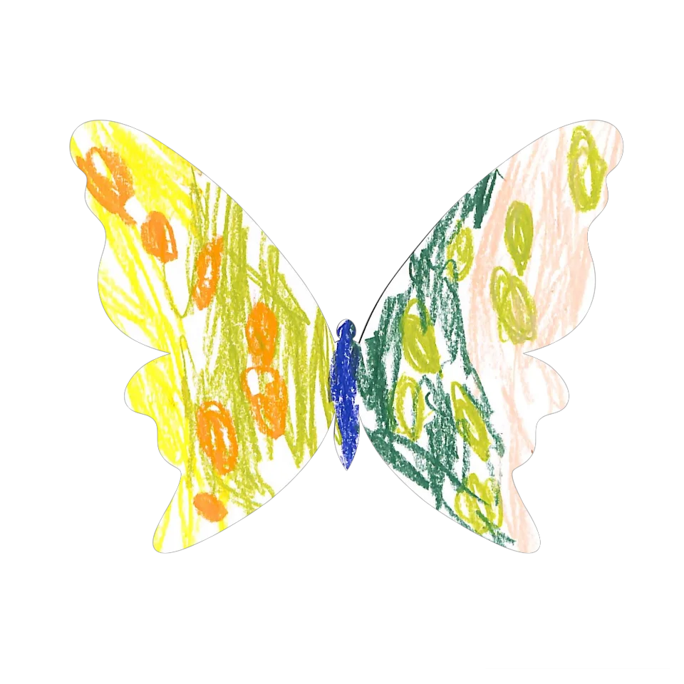 Original Butterfly Image
