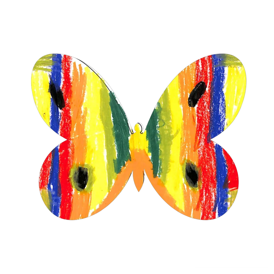 Original Butterfly Image