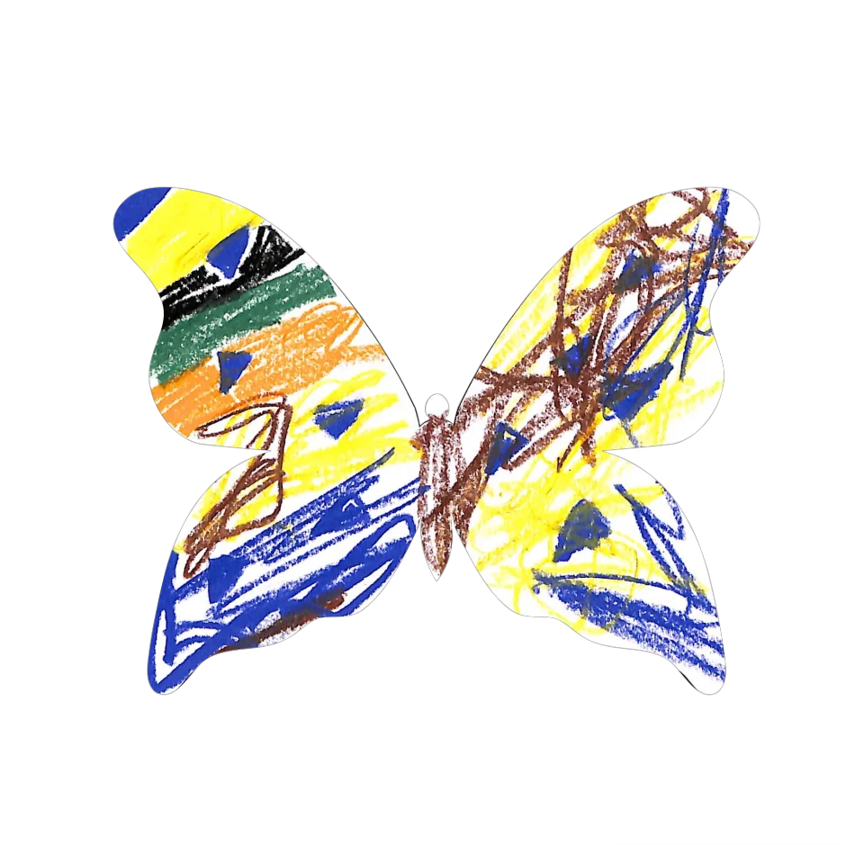 Original Butterfly Image