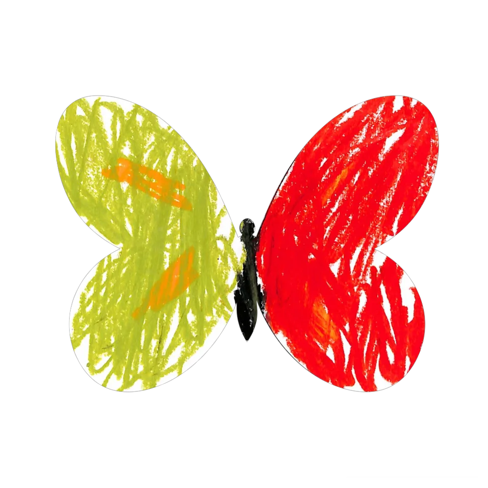Original Butterfly Image