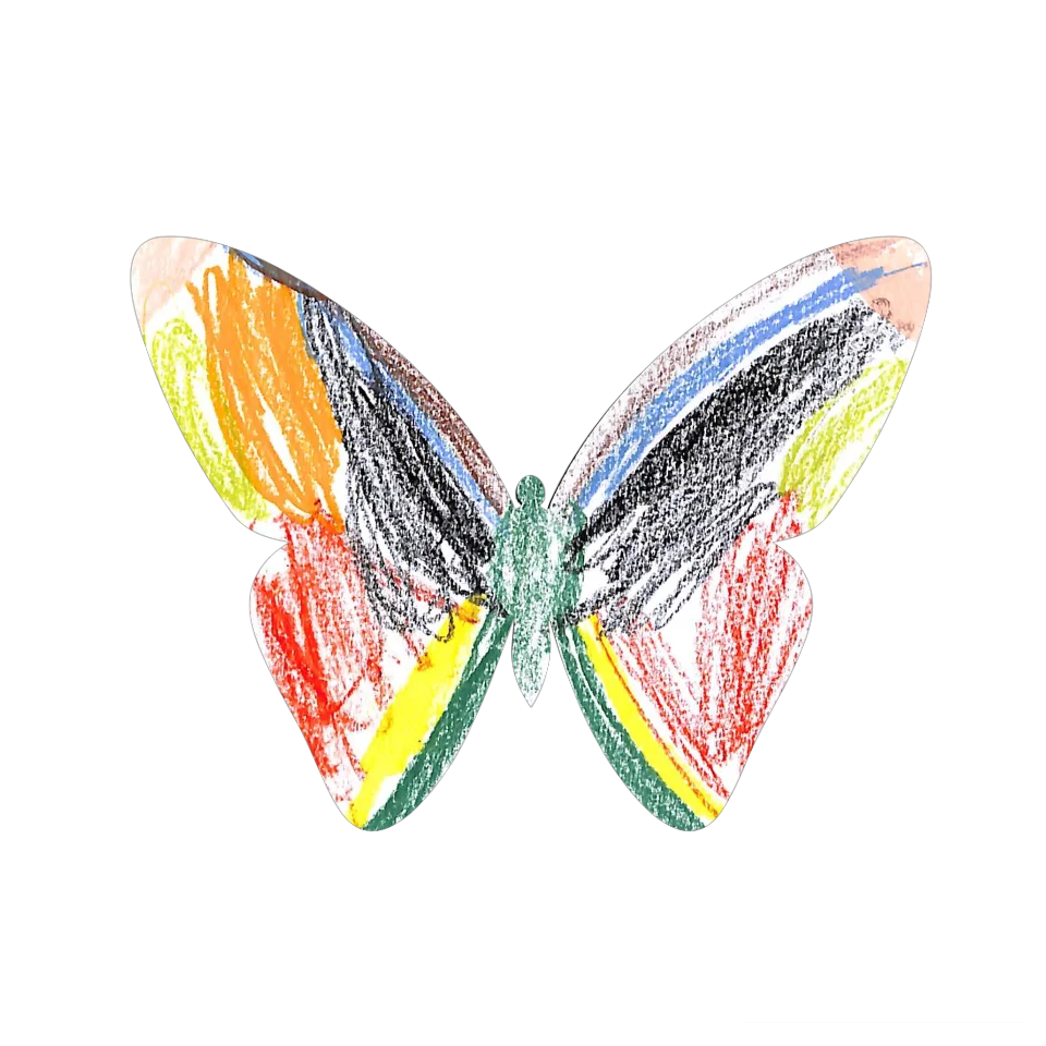 Original Butterfly Image