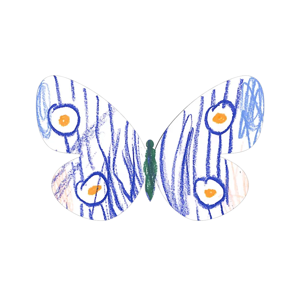 Original Butterfly Image