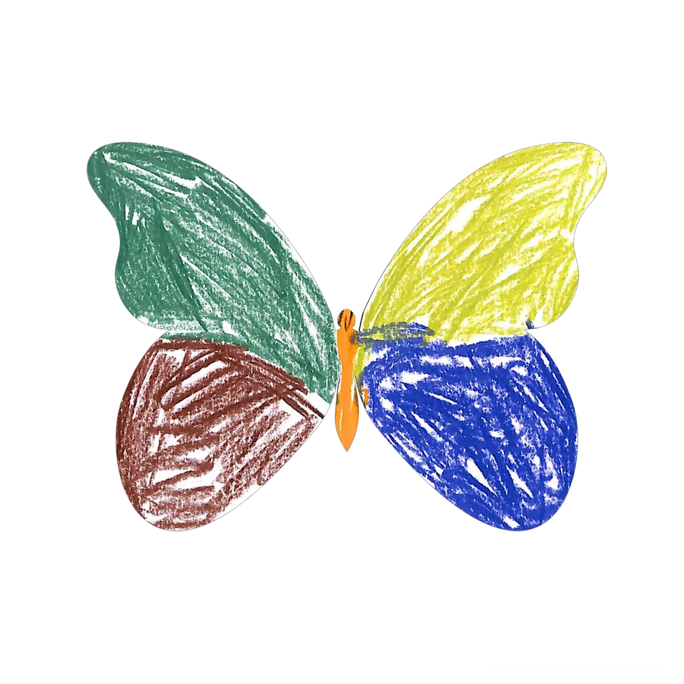 Original Butterfly Image