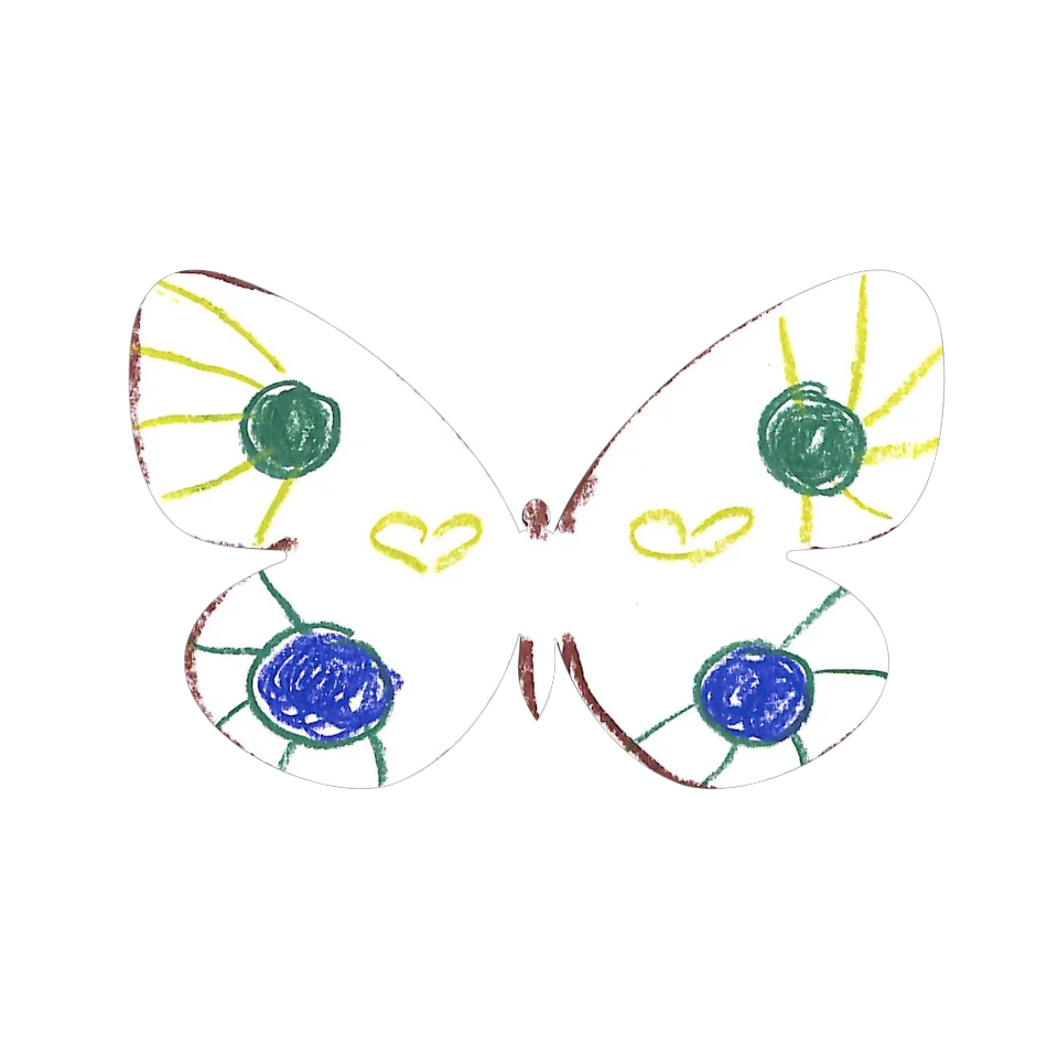 Original Butterfly Image