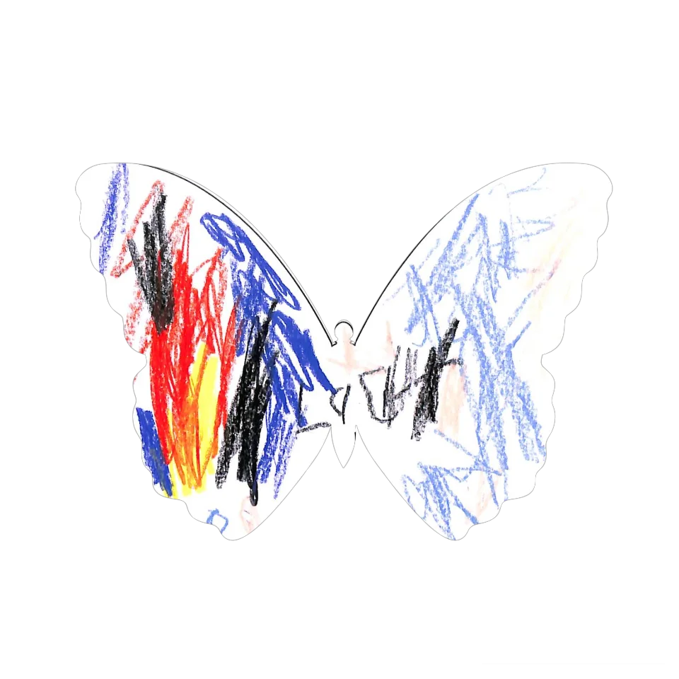 Original Butterfly Image