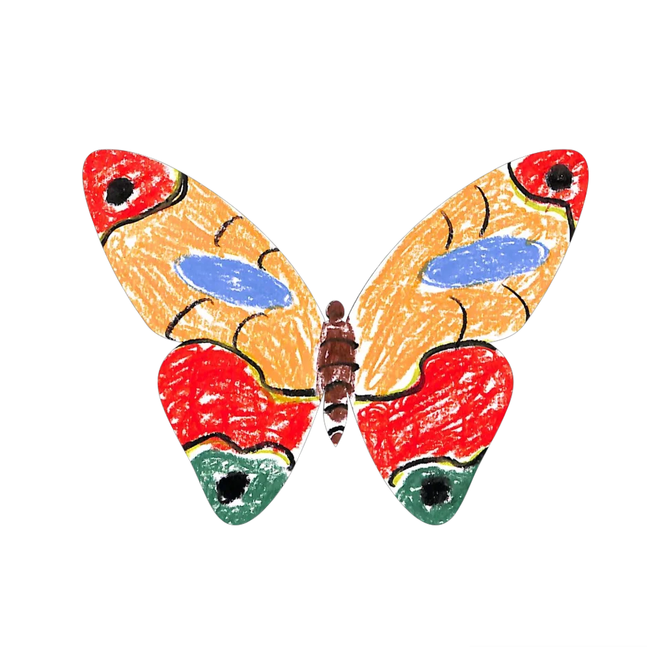 Original Butterfly Image