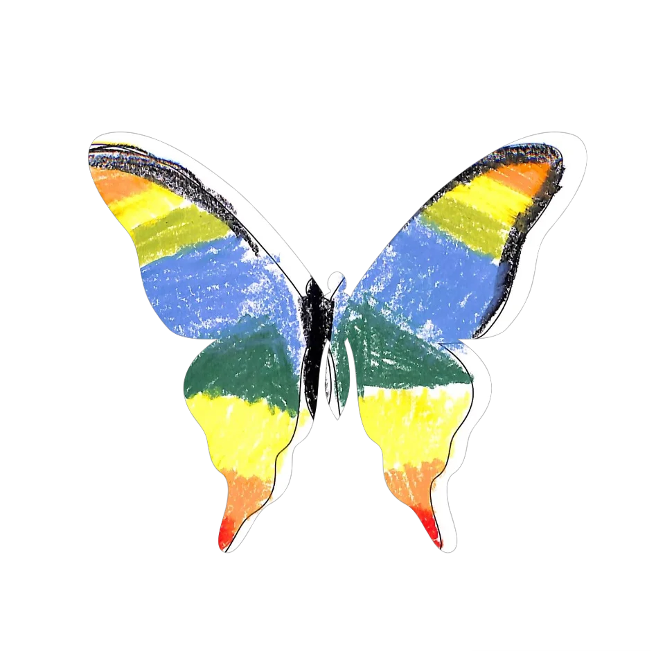 Original Butterfly Image
