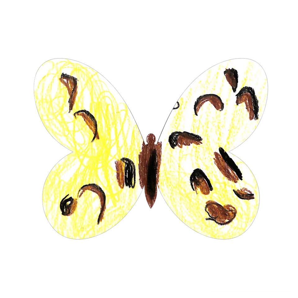Original Butterfly Image