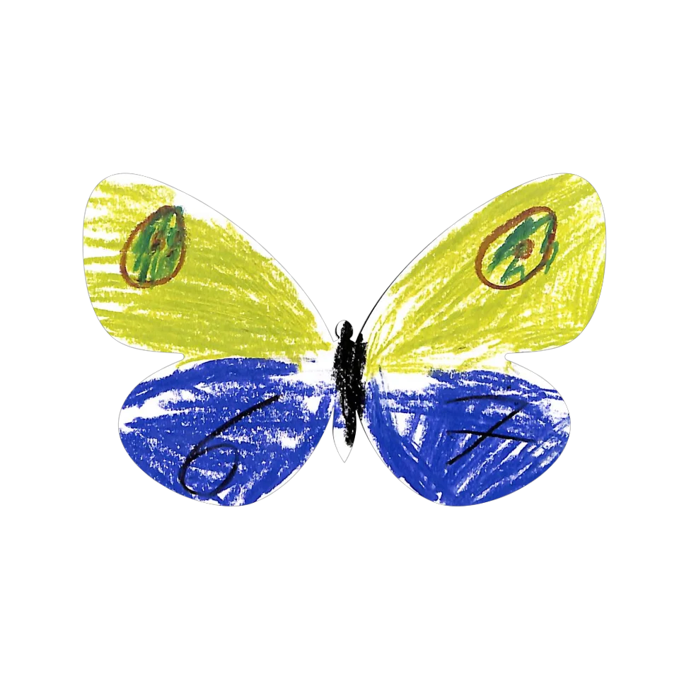 Original Butterfly Image