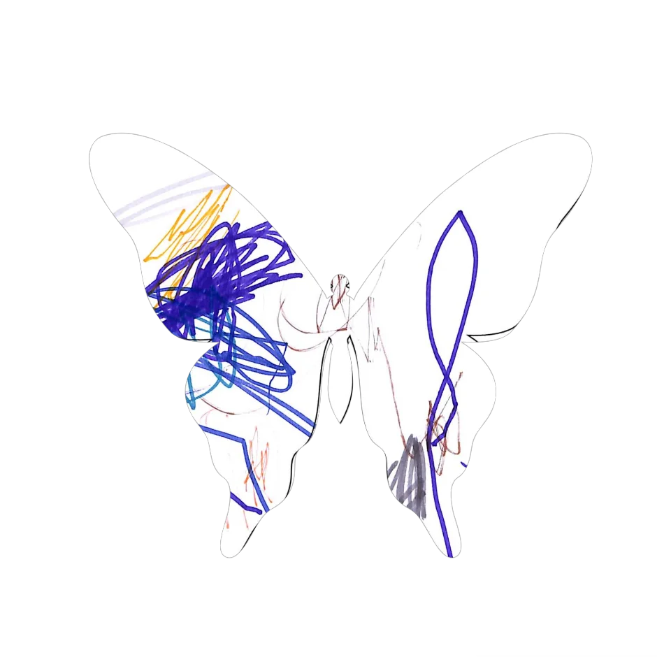 Original Butterfly Image