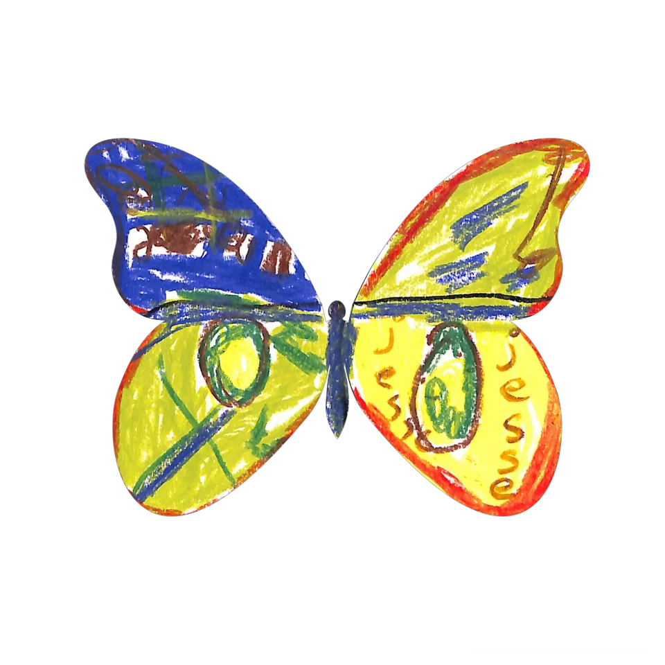 Original Butterfly Image
