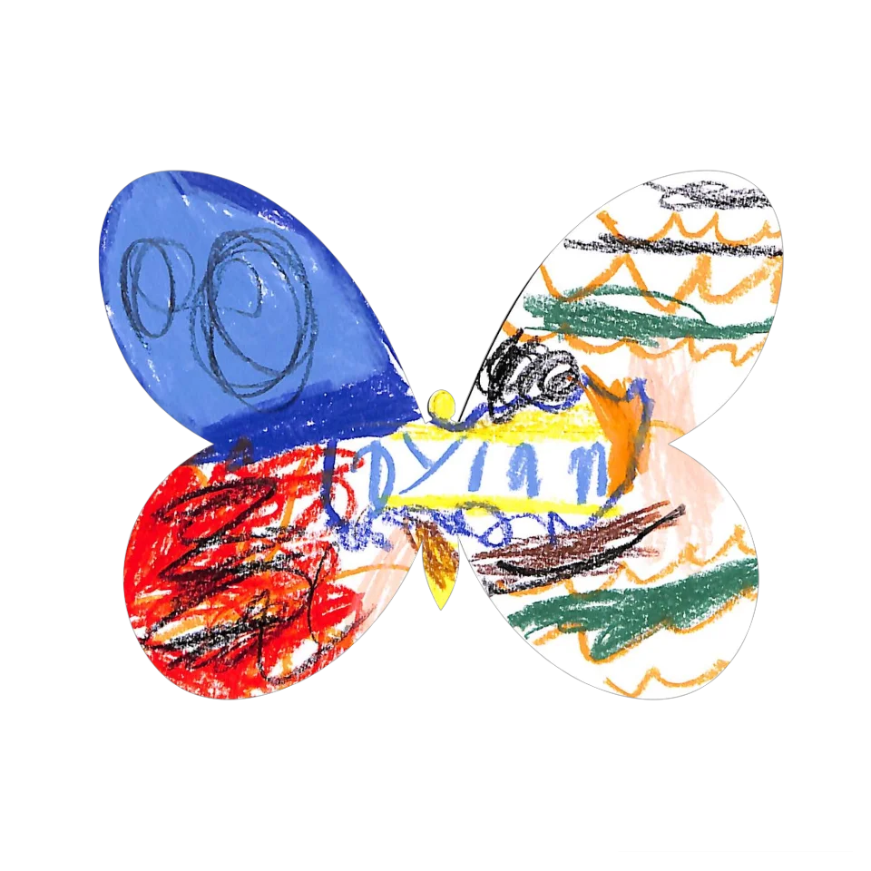 Original Butterfly Image