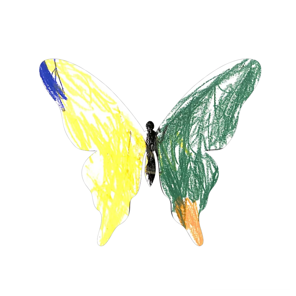 Original Butterfly Image