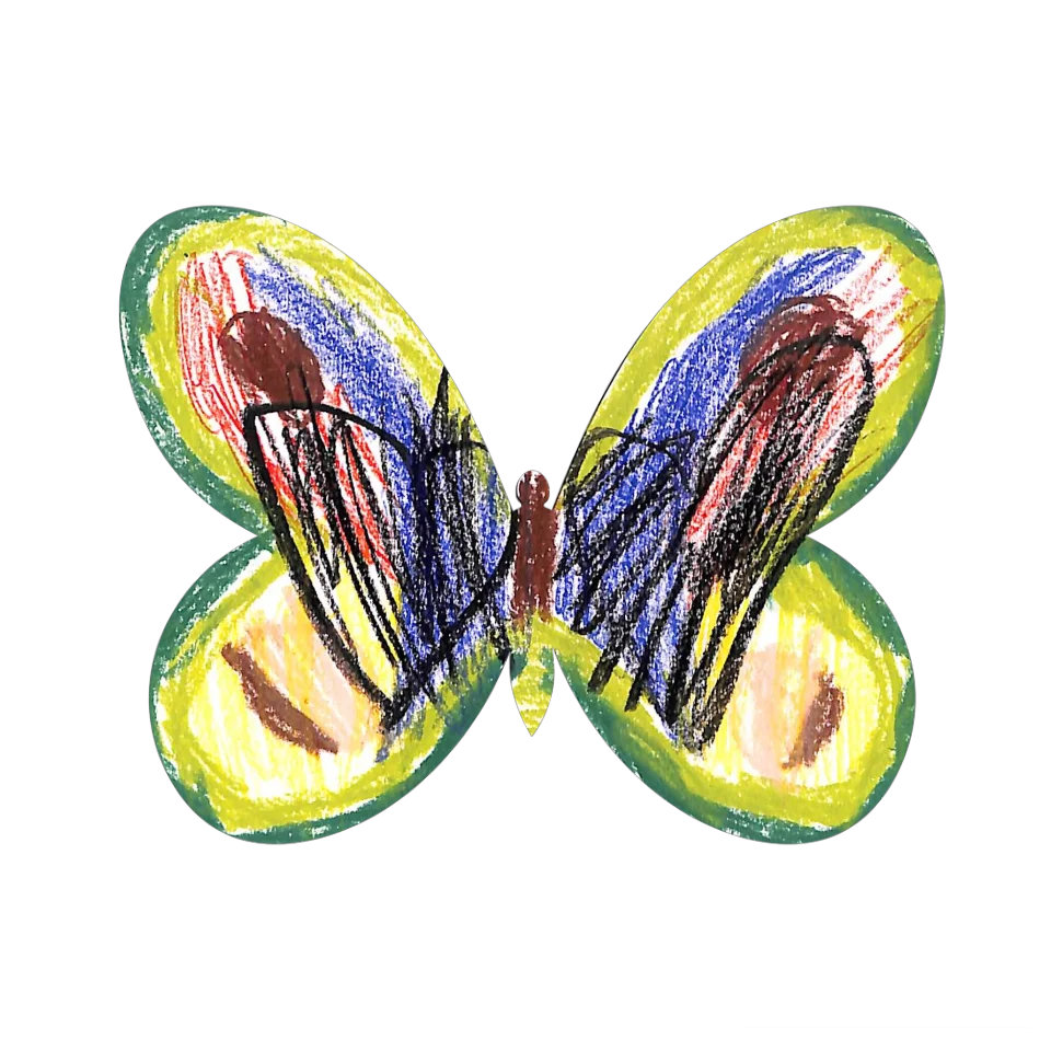 Original Butterfly Image
