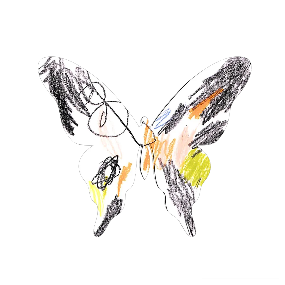 Original Butterfly Image