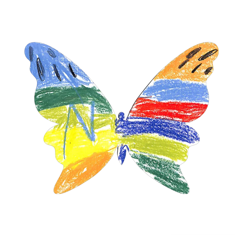 Original Butterfly Image