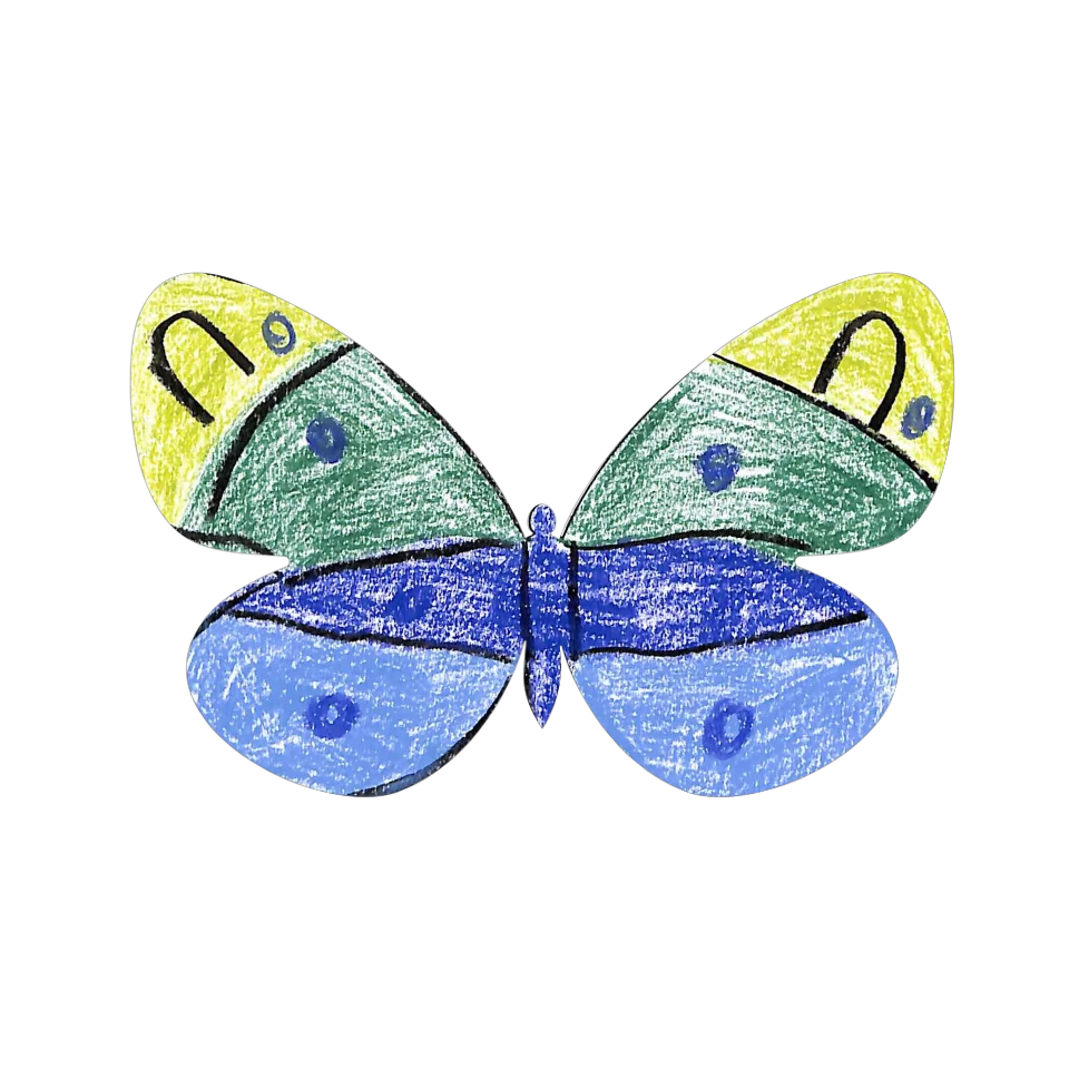 Original Butterfly Image