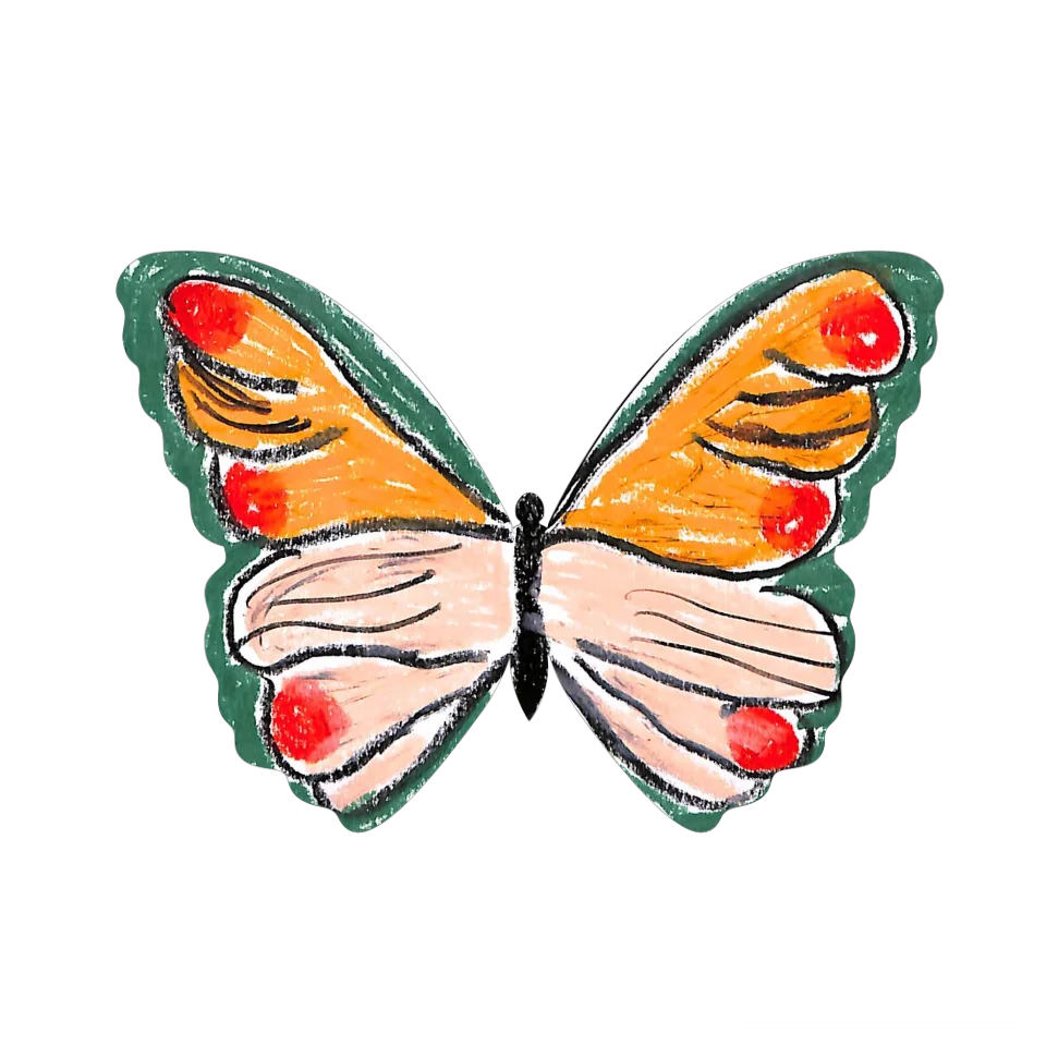 Original Butterfly Image