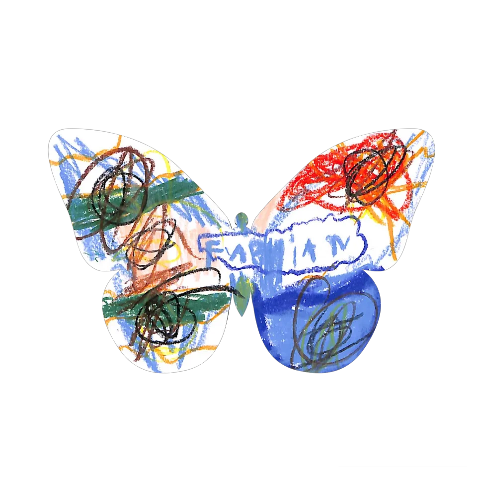 Original Butterfly Image