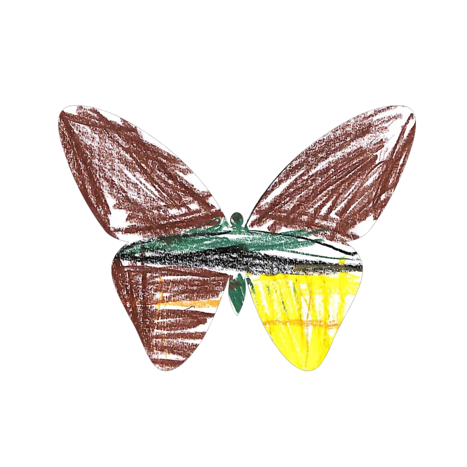 Original Butterfly Image