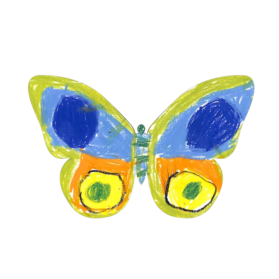 Original Butterfly Image
