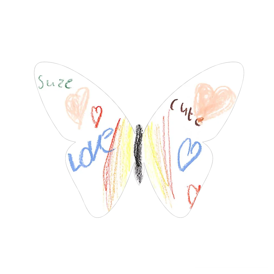 Original Butterfly Image
