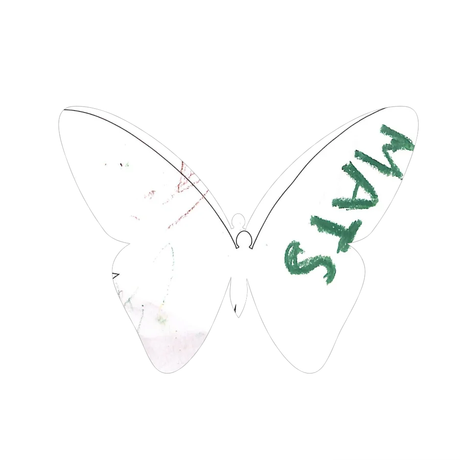 Original Butterfly Image
