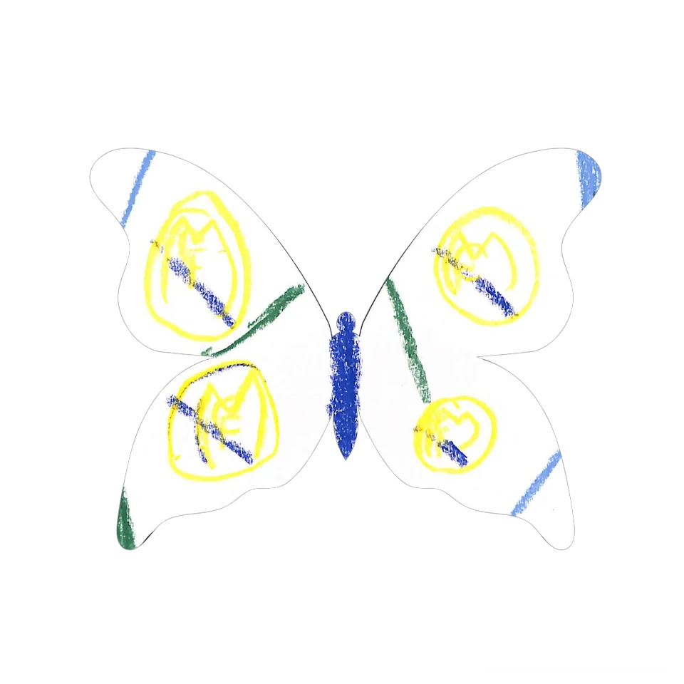 Original Butterfly Image