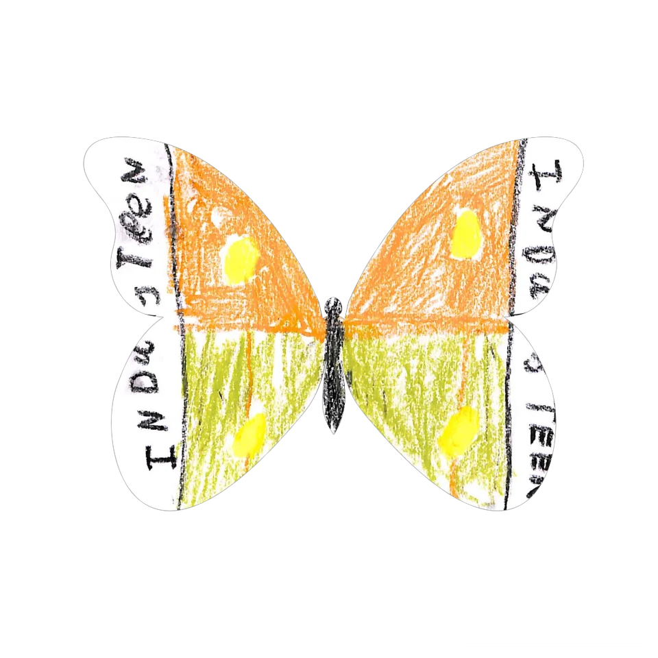 Original Butterfly Image