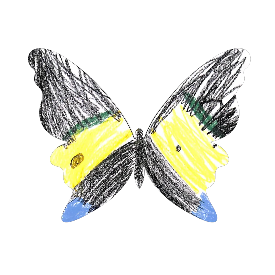 Original Butterfly Image