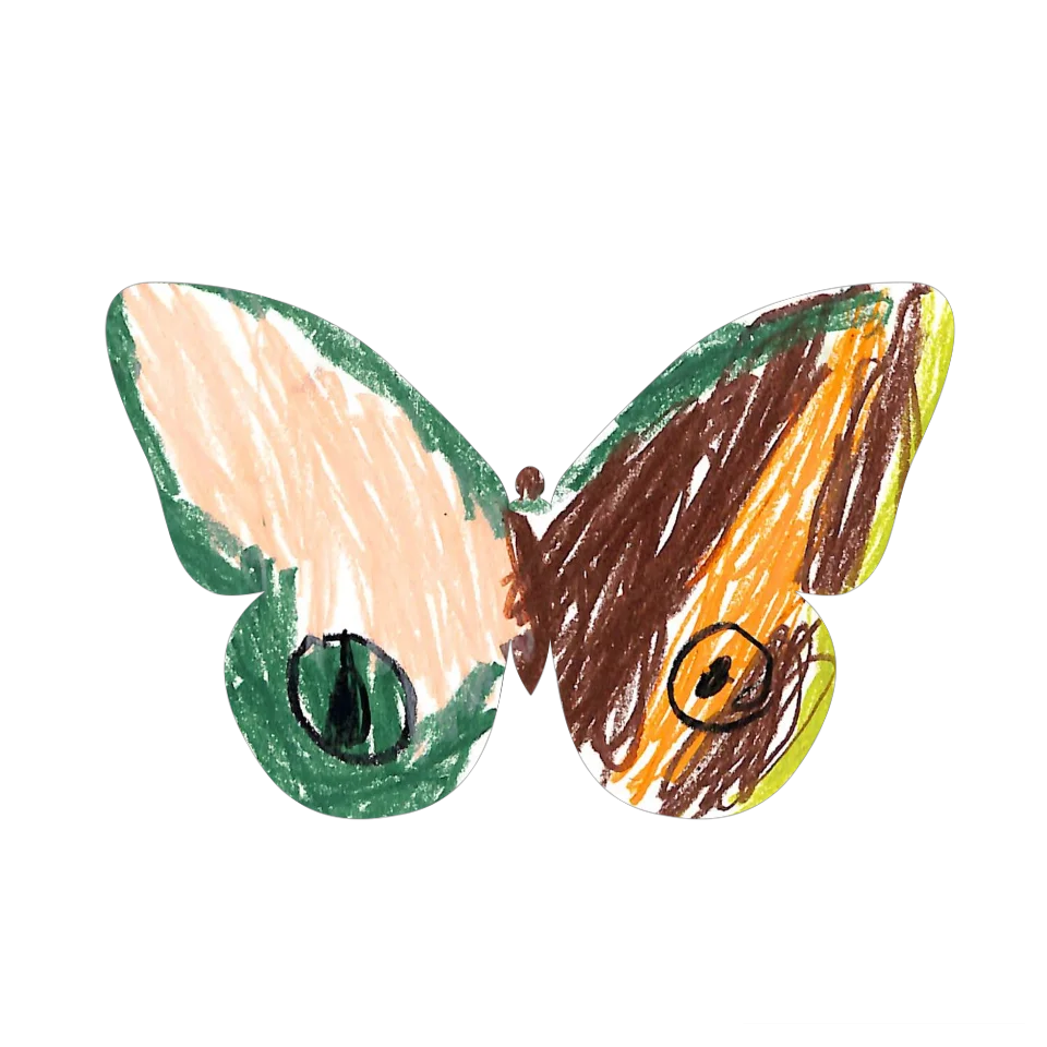 Original Butterfly Image