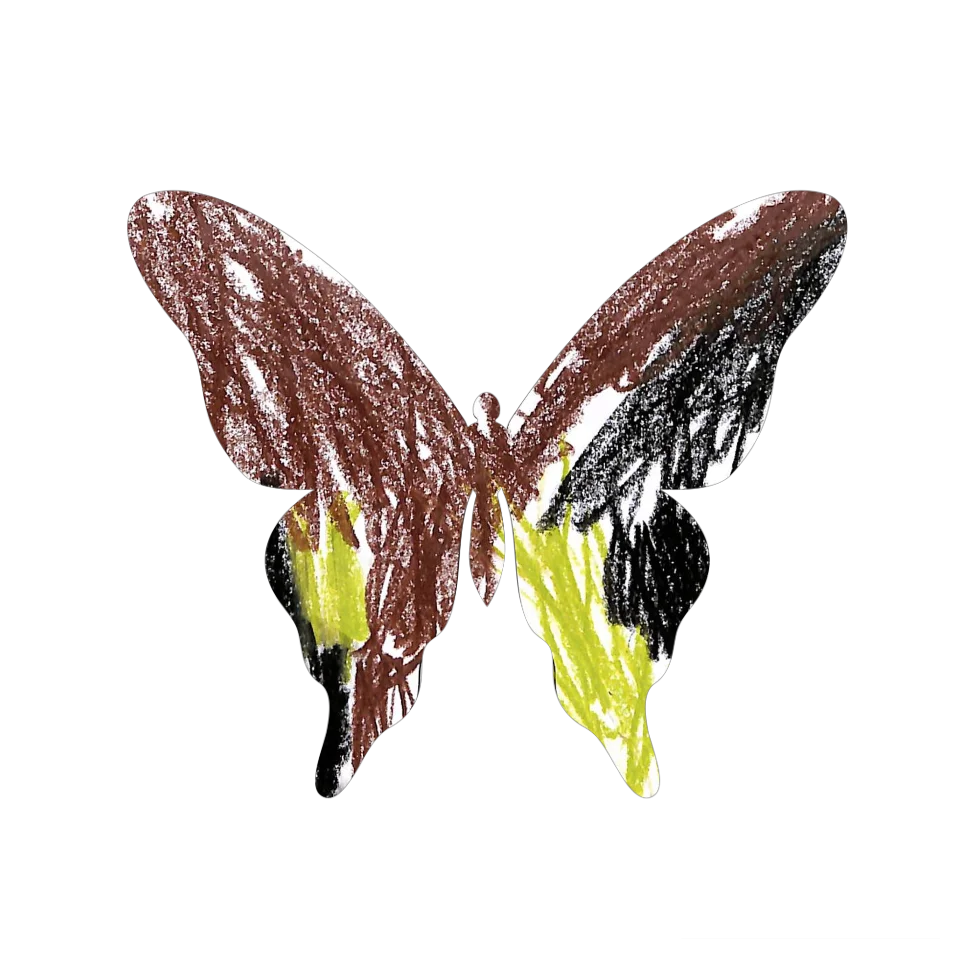 Original Butterfly Image