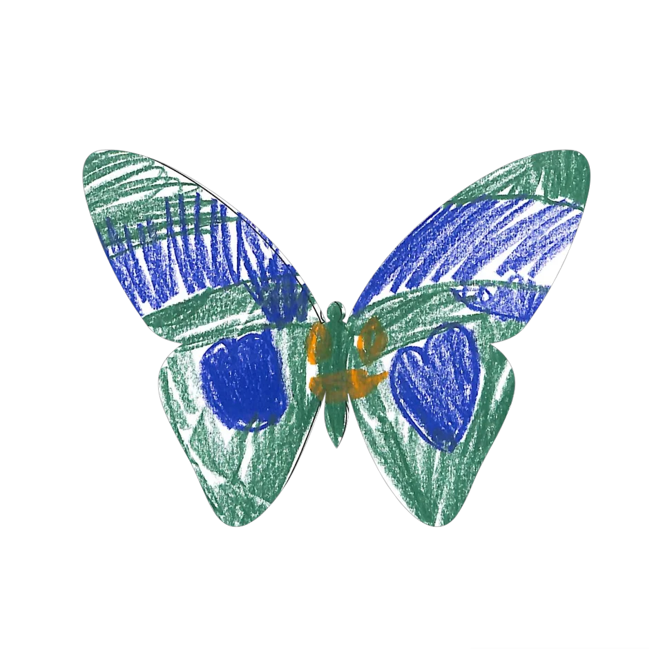 Original Butterfly Image