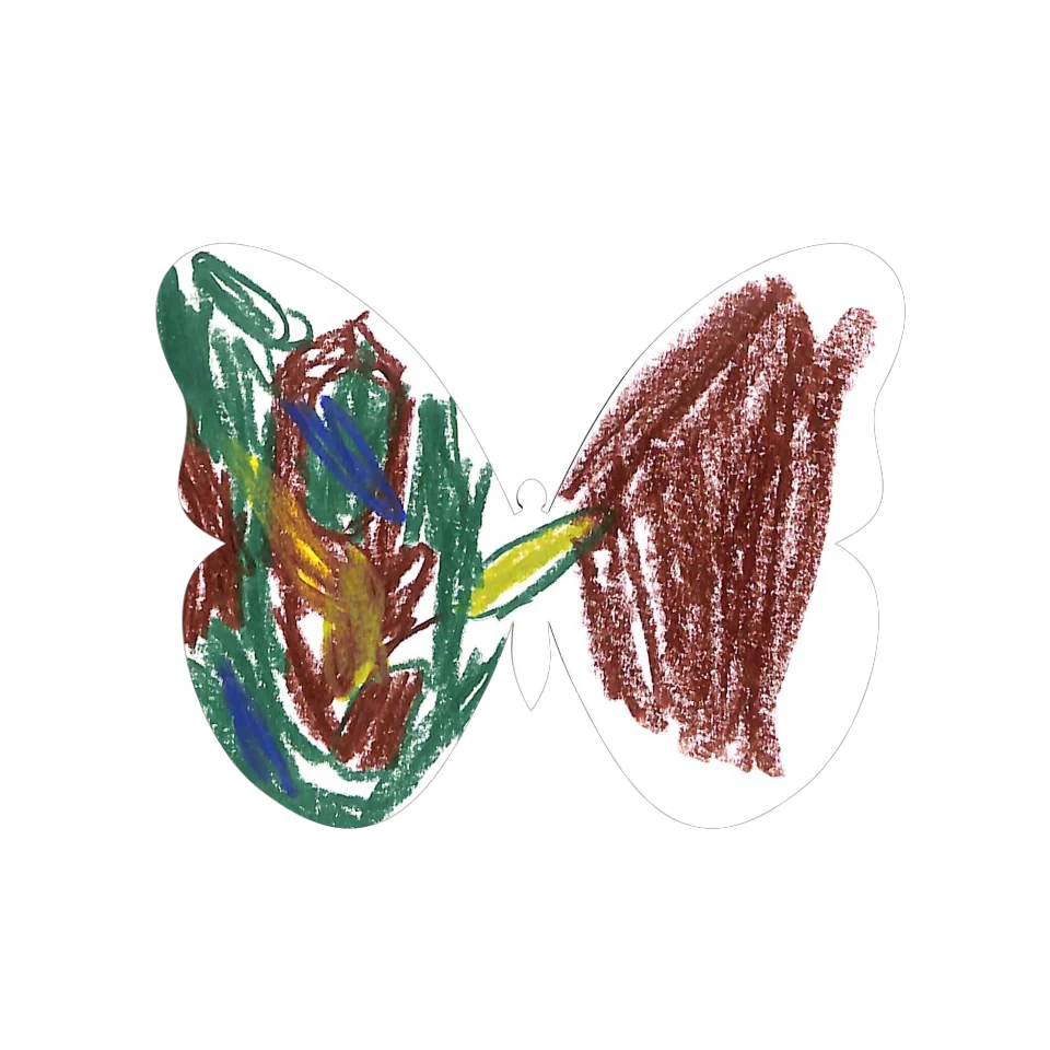 Original Butterfly Image