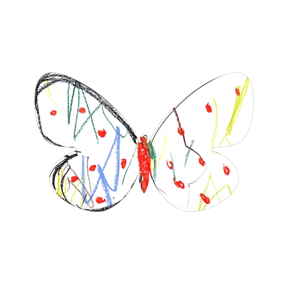 Original Butterfly Image