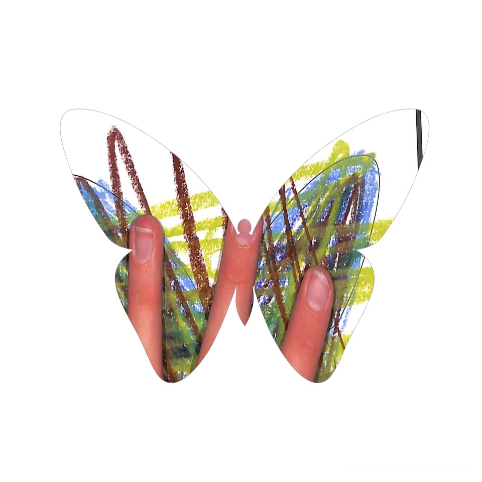 Original Butterfly Image